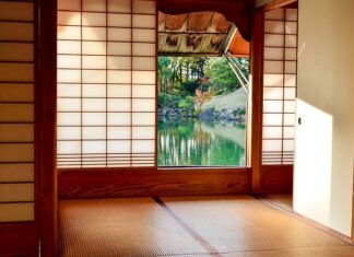 Co daje orzeczenie o niepełnosprawności dla emeryta?