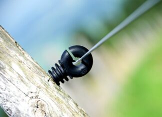 Czy w Australii jest dużo Polaków?