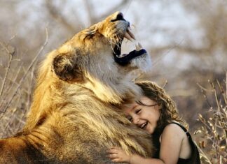 Jaka jest najlepsza praca na wakacje?