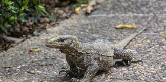 Czy na to samo skierowanie można iść do kilku lekarzy?