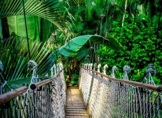 Czy po kursie dietetyki można otworzyć gabinet?