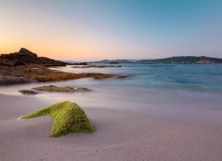 Ile za godzinę opieki nad starszą osobą 2023?