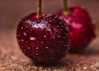 Ile kosztuje umycie chorego w domu? Ile kosztuje umycie chorego w domu?