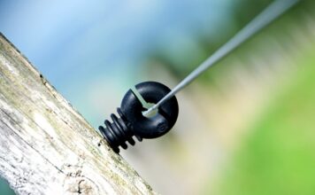 Ile Polaków chcę wyjechać z Polski? Ile Polaków chcę wyjechać z Polski?