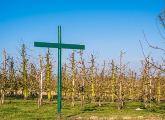 Kiedy należy wprowadzić regulamin pracy? Kiedy należy wprowadzić regulamin pracy?