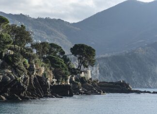 Ile kosztuje godzina pracy opiekunki do osoby starszej? Ile kosztuje godzina pracy opiekunki do osoby starszej?