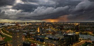 Czy opłaca się jechać do pracy do Holandii?