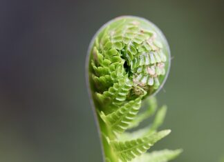 Jak rozwijać szkole? Jak rozwijać szkole?