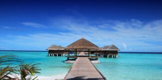 Komu podlegają ośrodki zdrowia?